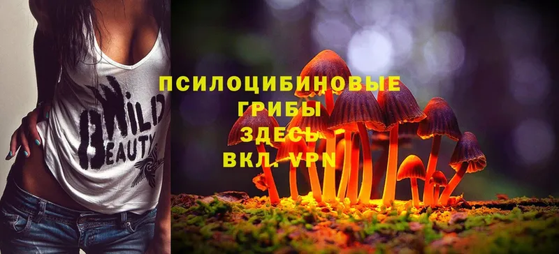 Галлюциногенные грибы Magic Shrooms  МЕГА маркетплейс  Верея  где купить  